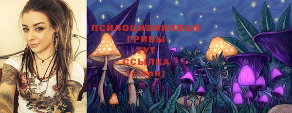героин Алексин