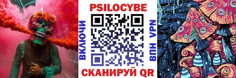 kraken вход  продажа наркотиков  Вилючинск  Галлюциногенные грибы GOLDEN TEACHER 